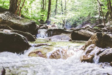 Mountain River Akıntısı Yaz Ormanı 'ndan geçiyor. Temiz Su. Doğadaki Gün. Güzel Manzara 