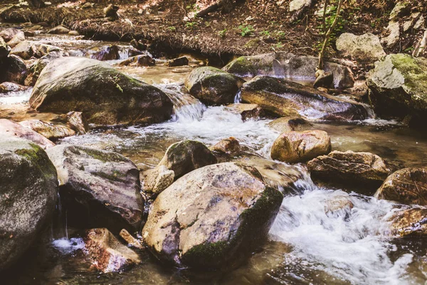 Mountain River Patak Nyári Erdőn Keresztül Tiszta Víz Természet Napja — Stock Fotó