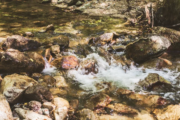 Mountain River Patak Nyári Erdőn Keresztül Tiszta Víz Természet Napja — Stock Fotó