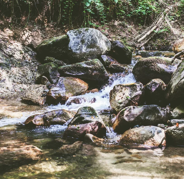 Mountain River Patak Nyári Erdőn Keresztül Tiszta Víz Természet Napja — Stock Fotó