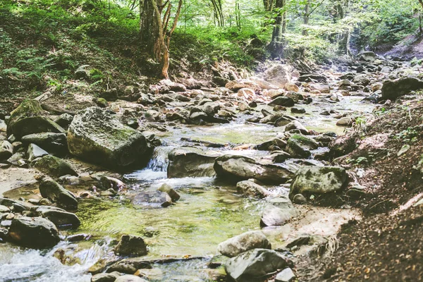 Mountain River Stream Summer Forest Inglés Agua Clara Día Naturaleza —  Fotos de Stock