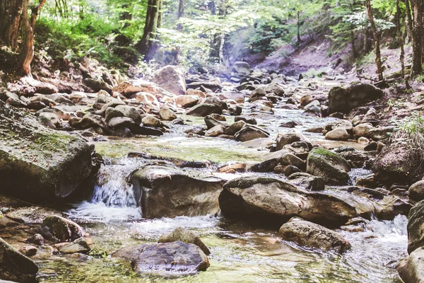 Речной Поток Через Летний Лес Чистая Вода День Природе Ландшафт — стоковое фото