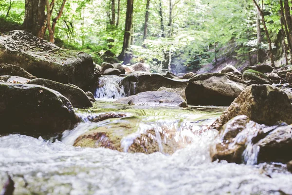 Mountain River Stream Summer Forest Eau Claire Journée Dans Nature — Photo