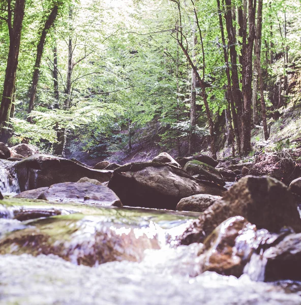 Górski Strumień Rzeczny Przez Letni Las Czysta Woda Dzień Naturze — Zdjęcie stockowe