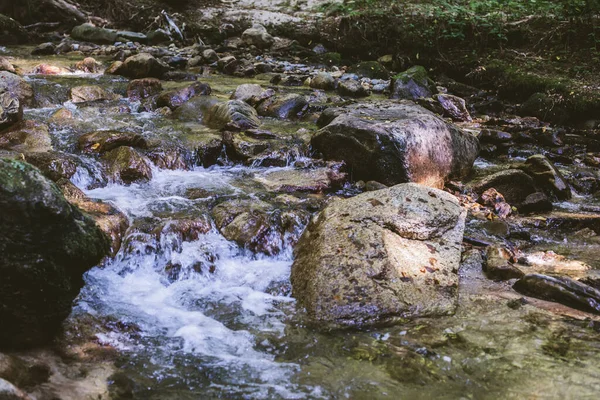 Mountain River Stream Summer Forest Inglés Agua Clara Día Naturaleza —  Fotos de Stock