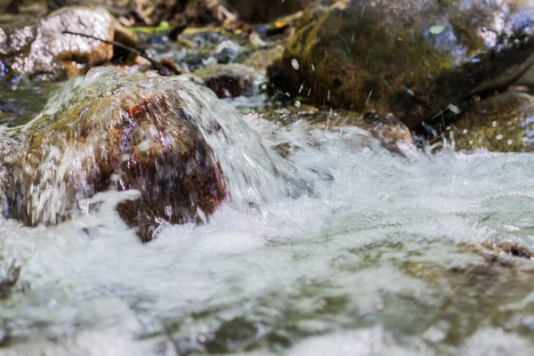 Mountain River Patak Nyári Erdőn Keresztül Tiszta Víz Nap Természetben — Stock Fotó