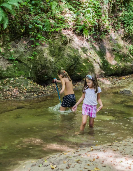 Mutlu Çocuklar Yaz Ormanlarında Dağ Deresinde Eğleniyorlar Doğal Gün Işığı — Stok fotoğraf