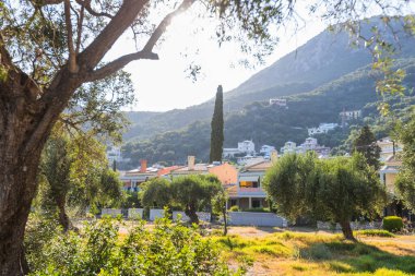 Parlak güneş ışığı altında dağ yamaçlarının çerçevelediği zeytin ağaçları ve selvi ağaçlarının arasına yerleştirilmiş pastel renkli evlerle dolu bir Akdeniz köyünün huzurlu manzarası..