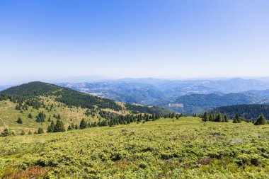 Bereketli dağ manzarası açık mavi yaz gökyüzü altında yoğun yeşil orman