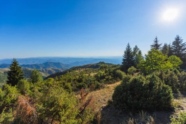 Berrak mavi gökyüzünün altında yuvarlanan orman tepelerinin yer aldığı manzaralı dağ manzarası