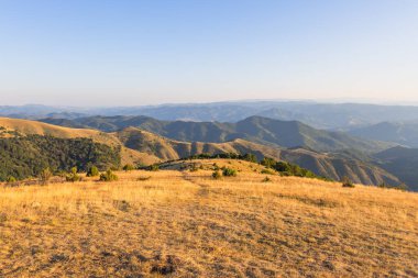 Geniş bir dağ manzarası. Önünde altın gibi kuru otlar ve yemyeşil tepeler var.