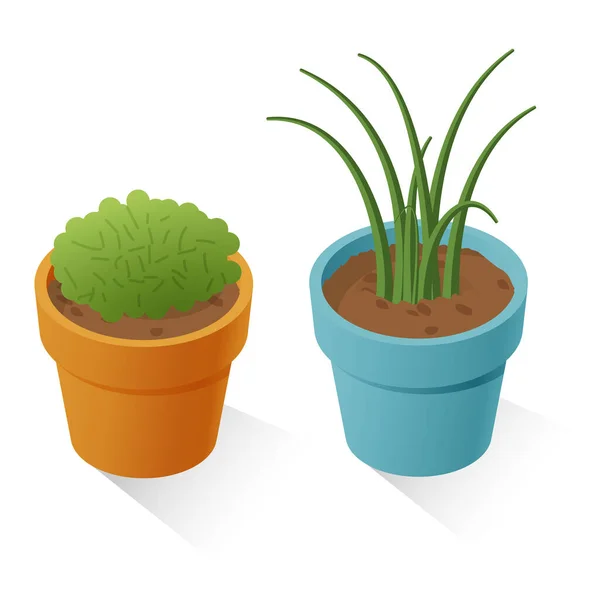 Két Cserepes Készlet Növényekkel Izometrikus Illusztráció — Stock Vector