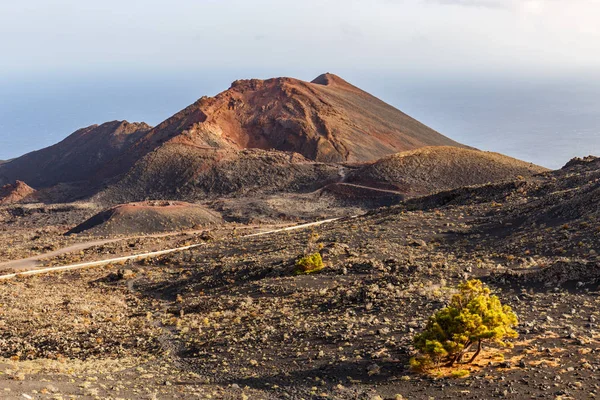 Vulcano Teneguia Palma Isole Canarie — Foto Stock