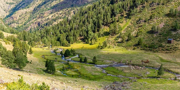 Prachtige Landschap Hoge Pyreneeën Pallars Sobira Catalonië — Stockfoto