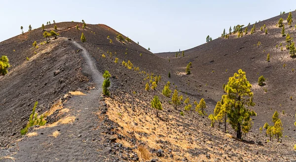 Stig Längs Ruta Los Volcanes Vacker Vandringsled Över Vulkaner Palma — Stockfoto