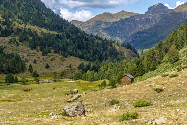 美しい渓谷のカタルーニャ ピレネー山脈の小屋 — ストック写真
