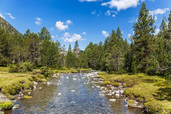 Río Los Pirineos Catalanes — Foto de Stock