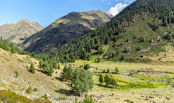 美丽的风景在高比利牛斯山 Pallars Sobira 加泰罗尼亚 — 图库照片