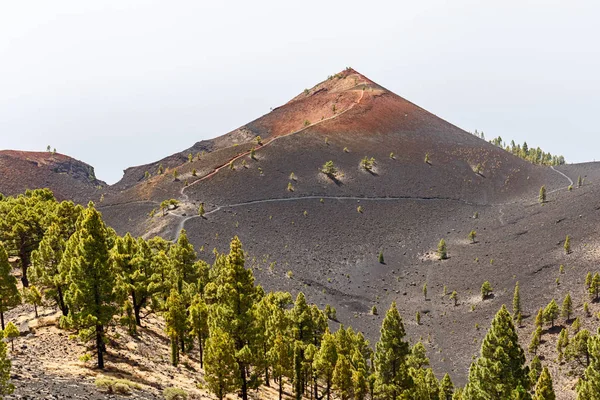 Vulkanische Landschap Langs Ruta Los Vulkanen Mooi Wandelpad Vulkanen Palma — Stockfoto