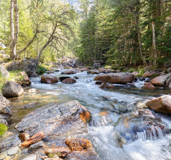 Río Río Abajo Través Valle Los Pirineos Catalanes — Foto de Stock