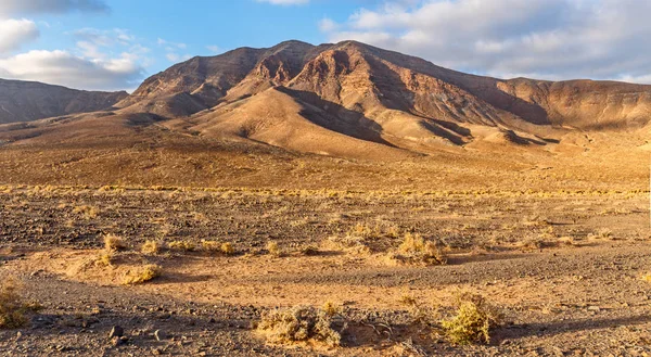 Fuerteventura Kanarya Adaları Altın Saat Volkanik Manzara — Stok fotoğraf