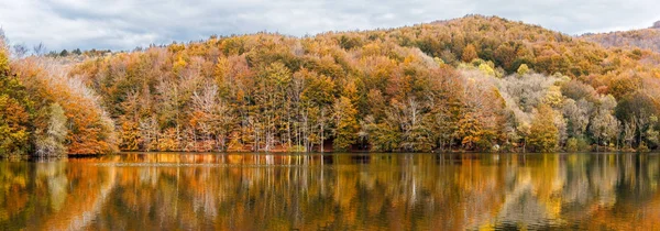 Sonbahar Renkleri Santa Depo Montseny Tabiat Parkı Catalonia Yansımalar — Stok fotoğraf