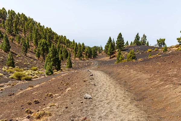 Pad Langs Ruta Los Vulkanen Mooi Wandelpad Vulkanen Palma Canarische — Stockfoto