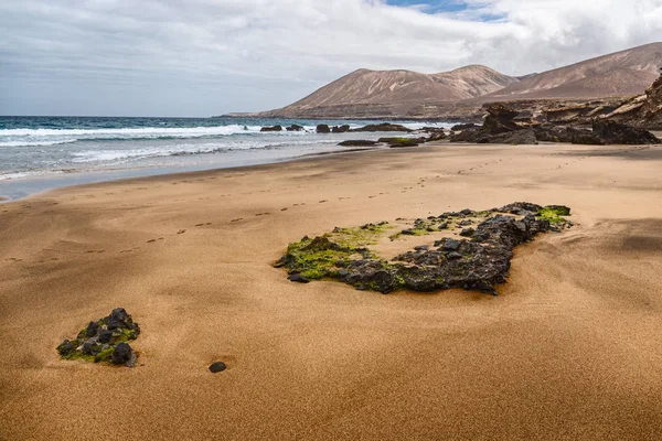Solapa Virgin Gold Colored Sandy Beach Fuerteventura Canary Islands — Stock Photo, Image