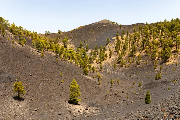 Paisaje Volcánico Largo Ruta Los Volcanes Hermosa Ruta Senderismo Sobre —  Fotos de Stock