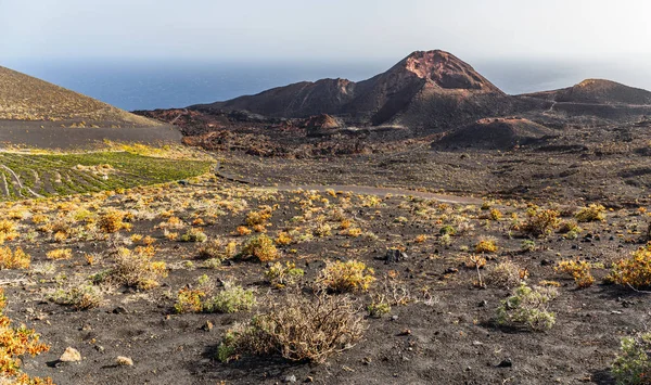 カナリア諸島ラ パルマ島で火山テネグイア — ストック写真