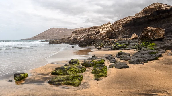 Solapa Dziewica Złotymi Piaszczysta Plaża Wyspie Fuerteventura Wyspy Kanaryjskie — Zdjęcie stockowe