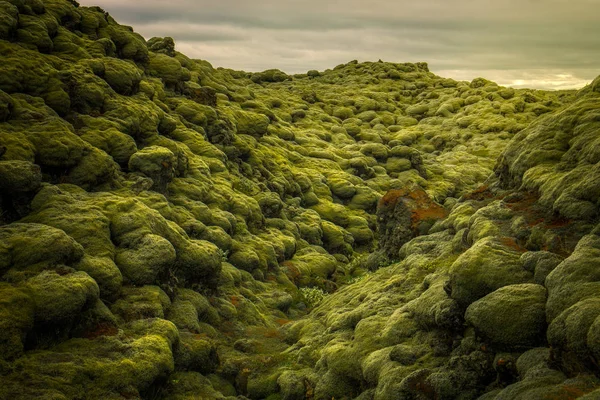 Eldhraun Lava Field in Iceland — Stock Photo, Image