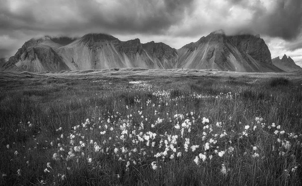 Vestrahorn mountain on Stokksnes cape in Iceland — Stock Photo, Image