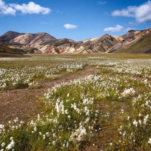 Beautiful Landscape in Landmannalaugar, Iceland — Stock Photo, Image