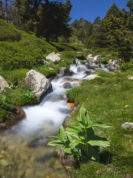 Subida Del Río Ter Desde Ulldeter Los Pirineos Catalanes — Foto de Stock