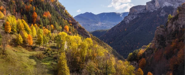 Autumn Trees Landscape Fall Season Bergueda Catalonia — Stock Photo, Image