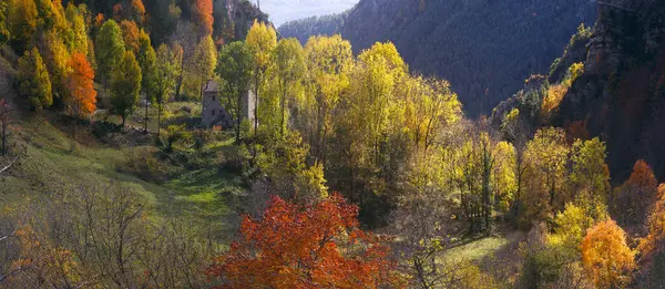 Paisagem Das Árvores Outono Época Outono Bergueda Catalunha — Fotografia de Stock