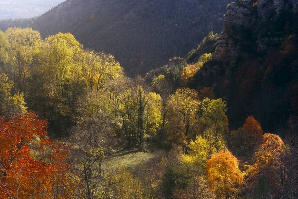 Herfstbomen Landschap Herfstseizoen Bergueda Catalonië — Stockfoto
