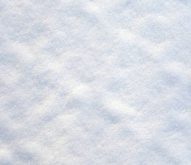 beyaz huş ağacı kabuğu arkaplanı