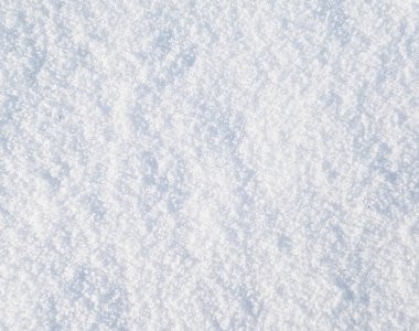 beyaz huş ağacı kabuğu arkaplanı