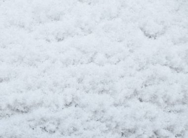 beyaz huş ağacı kabuğu arkaplanı