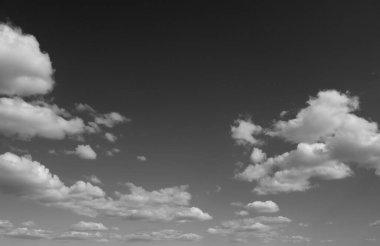 Arkaplan olarak huş kabuğu