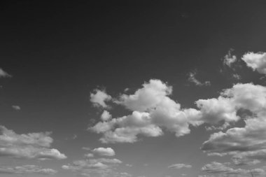 Arkaplan olarak huş kabuğu