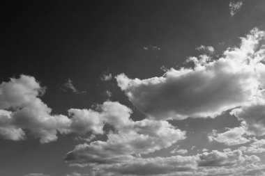 Arkaplan olarak huş kabuğu