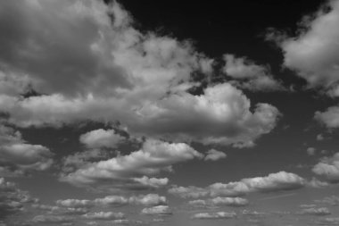 Arkaplan olarak huş kabuğu