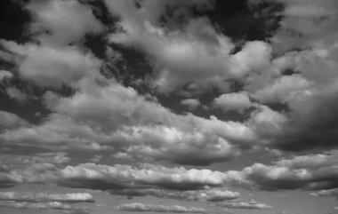 Arkaplan olarak huş kabuğu