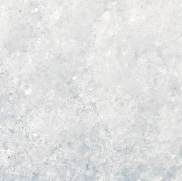 Nieve Fresca Como Fondo —  Fotos de Stock