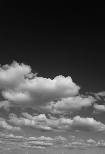 Casca Bétula Como Fundo — Fotografia de Stock