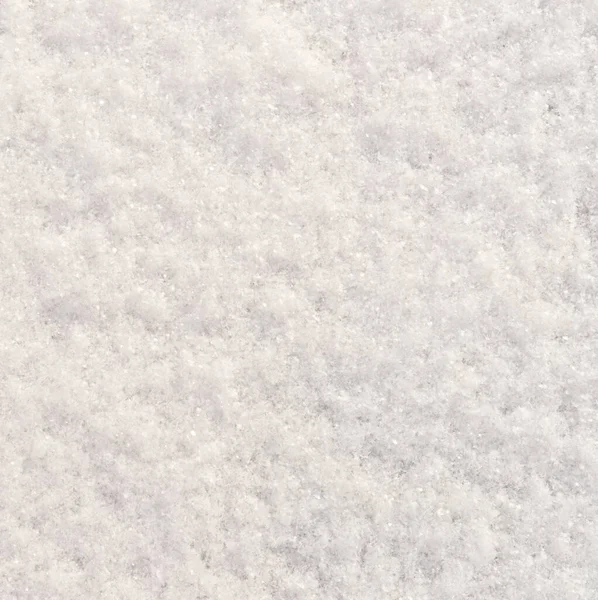 新雪を背景に — ストック写真