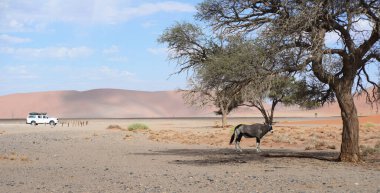 Desert landscape in Namibia, Africa clipart